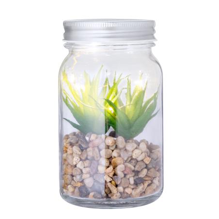 Planta Decorativa Kyala 2