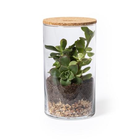 Terrarium Anymak 2